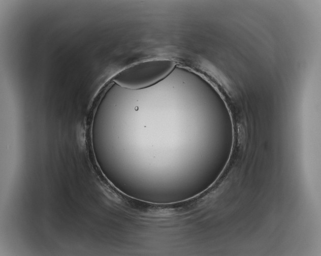 X0000115681260200911191047