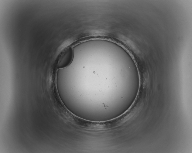 X0000115681261200911191047