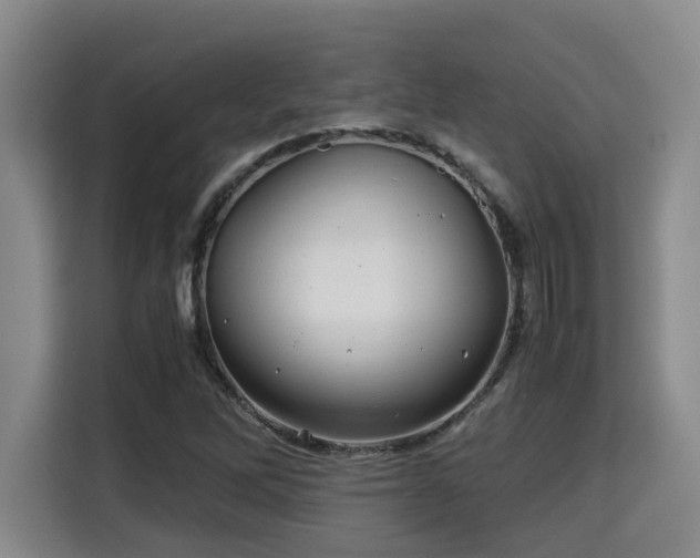 X0000115681262200911191047