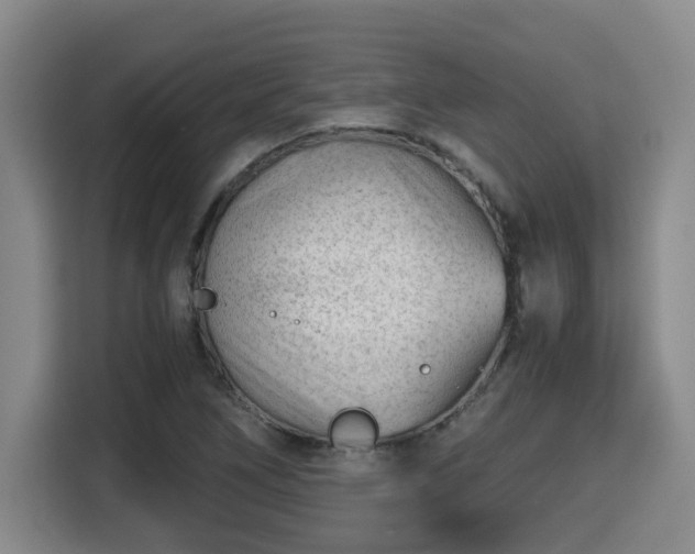 X0000115681266200911191047