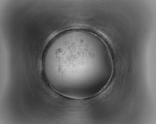 X0000115681267200911191047