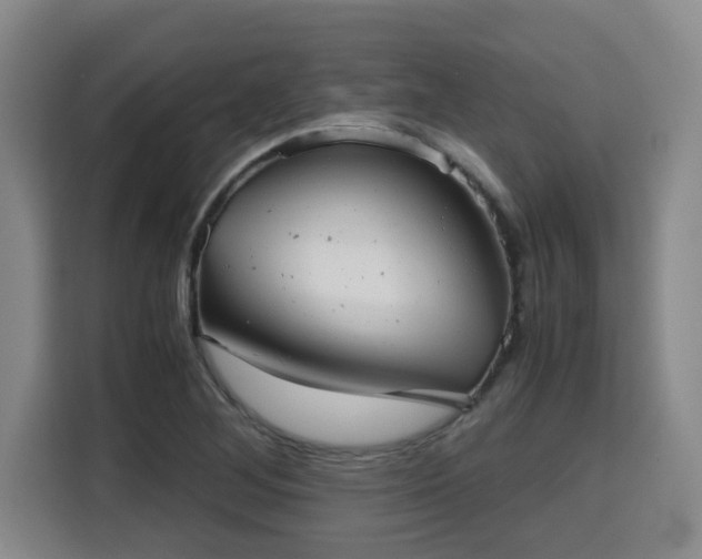 X0000115681268200911191047