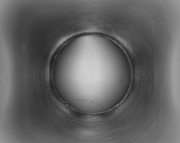 X0000115681270200911191046