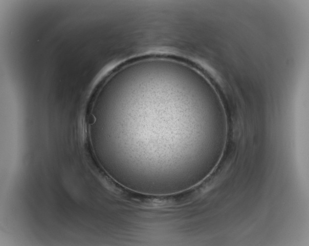 X0000115681271200911191046