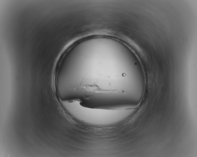 X0000115681272200911191046