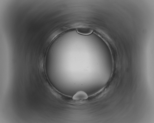 X0000115681273200911191046