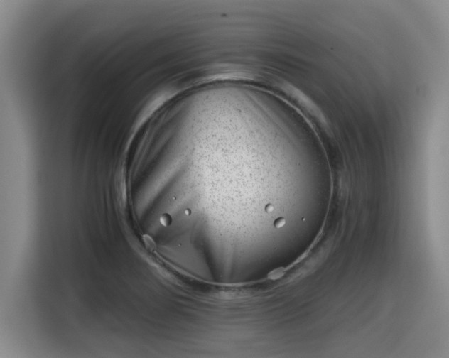 X0000115681274200911191046