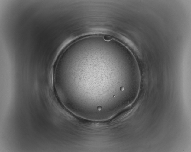 X0000115681275200911191046