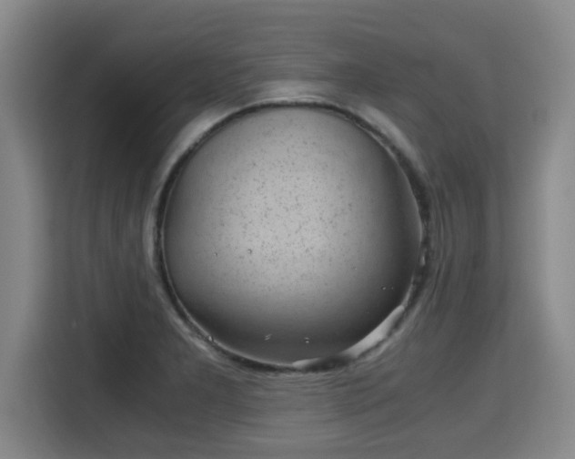 X0000115681277200911191046