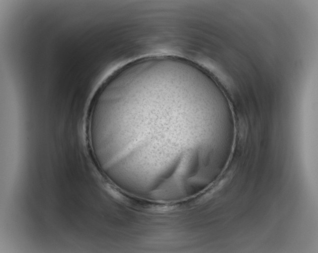 X0000115681278200911191046