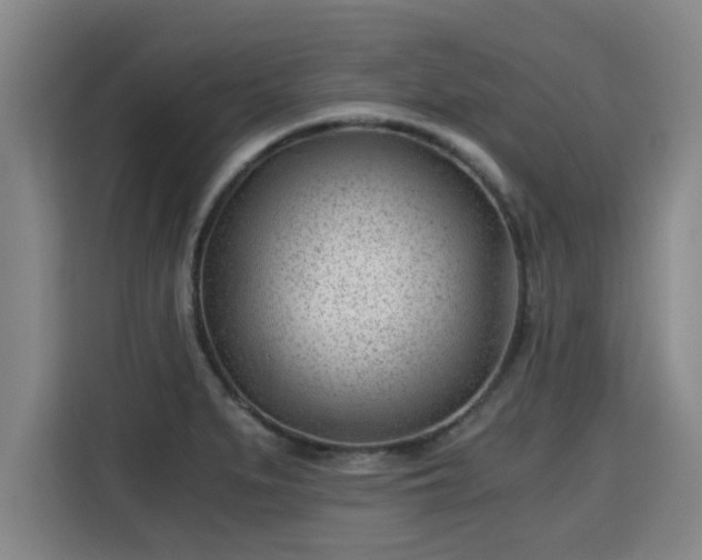 X0000115681279200911191046