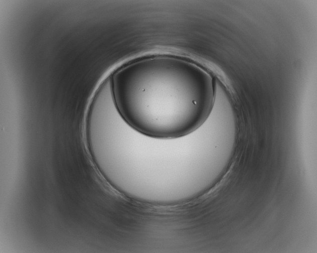 X0000115681280200911191046