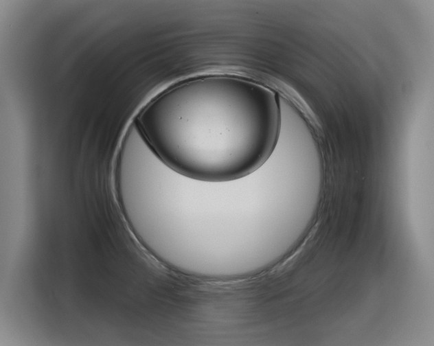 X0000115681284200911191046