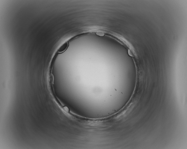 X0000115681285200911191046