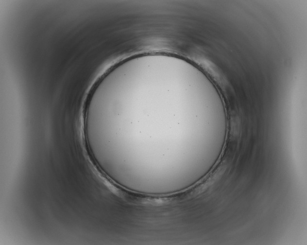 X0000115681286200911191046