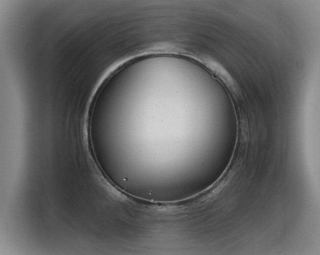 X0000115681288200911191046