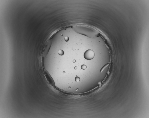 X0000115681289200911191046