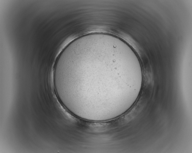 X0000115681290200911191046