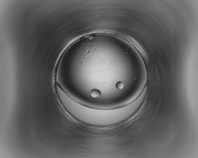 X0000115681292200911191046