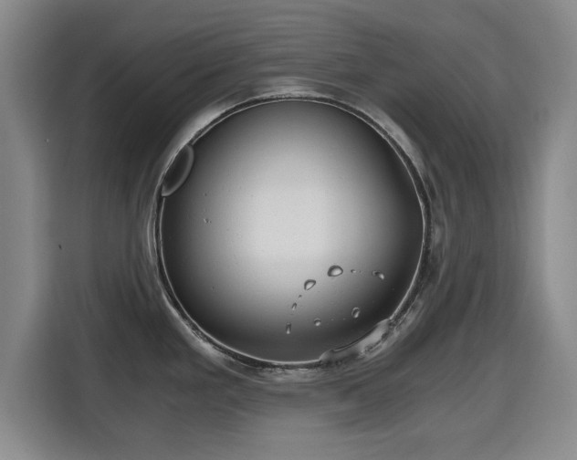 X0000115681293200911191046