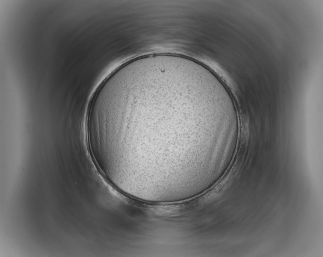 X0000115681294200911191046