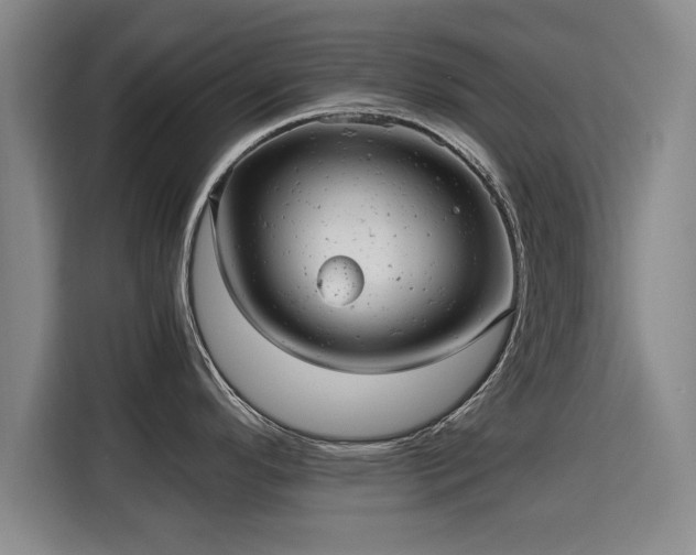 X0000115681296200911191046