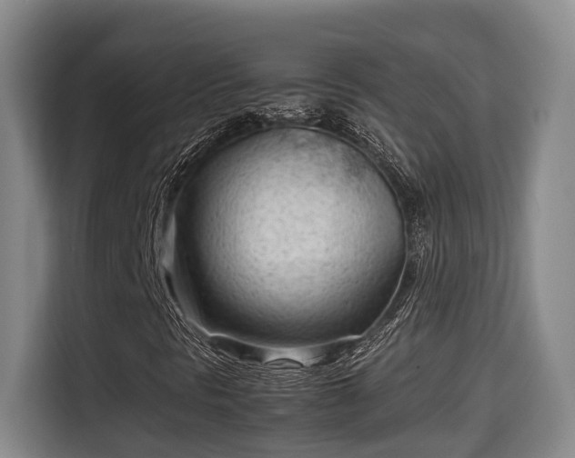 X0000115681297200911191045