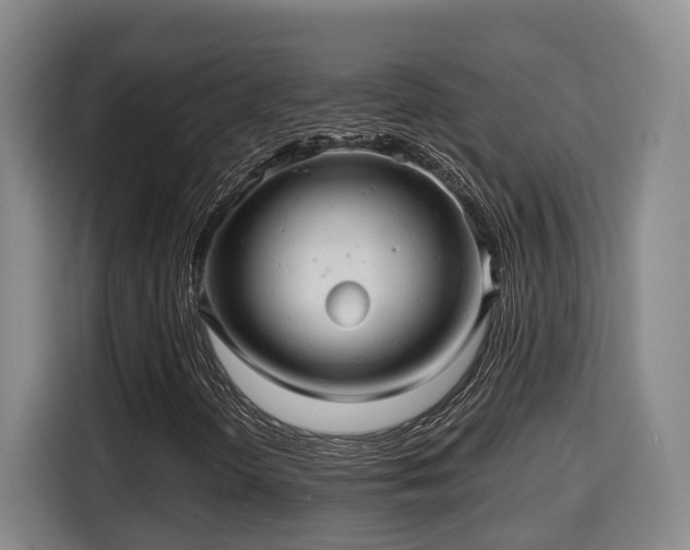 X0000115681298200911191045