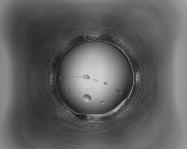 X0000115681299200911191045