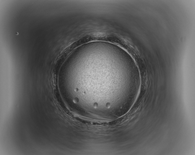 X0000115681301200911191045