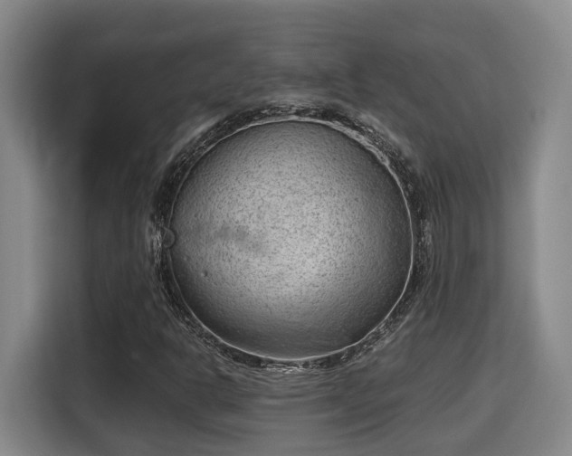 X0000115681302200911191045