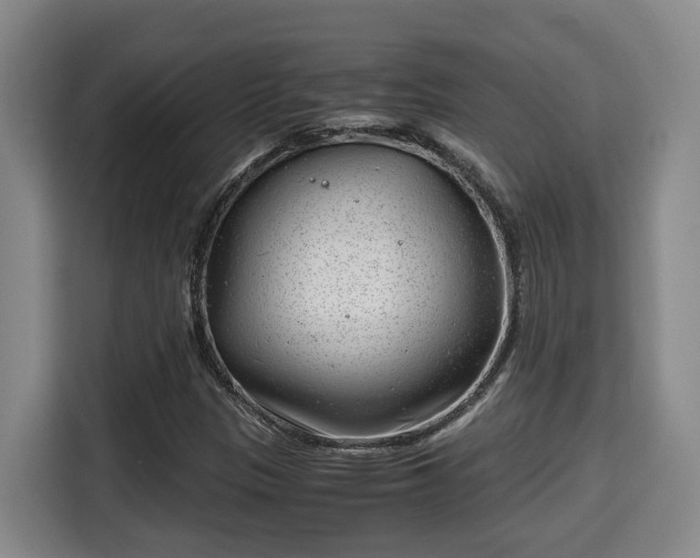 X0000115681305200911191045