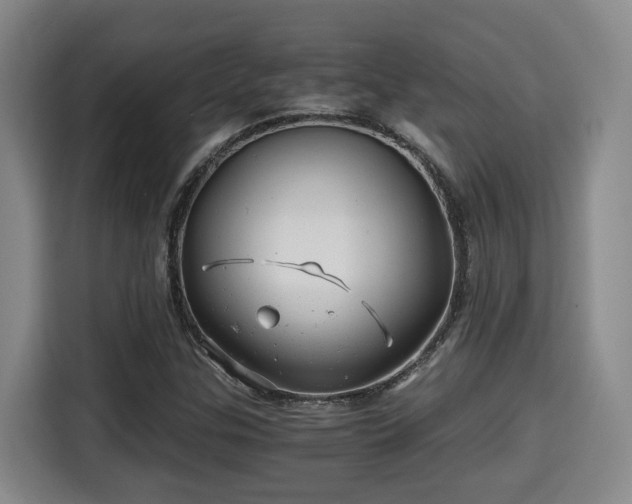 X0000115681307200911191045