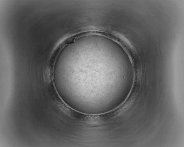 X0000115681310200911191046