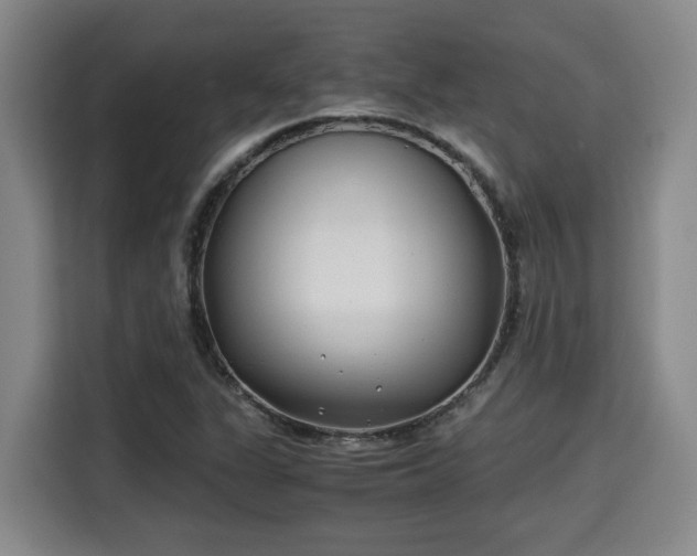 X0000115681311200911191046