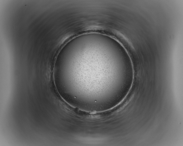 X0000115681313200911191046