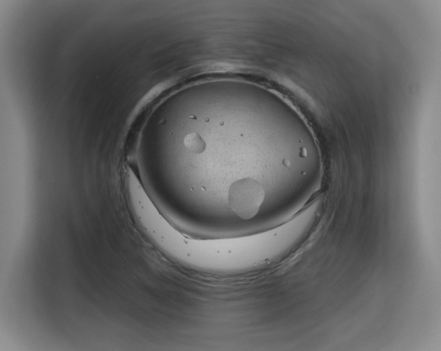 X0000115681314200911191046