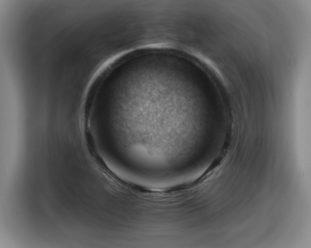 X0000115681319200911191046