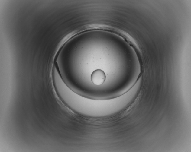 X0000115681330200911191046