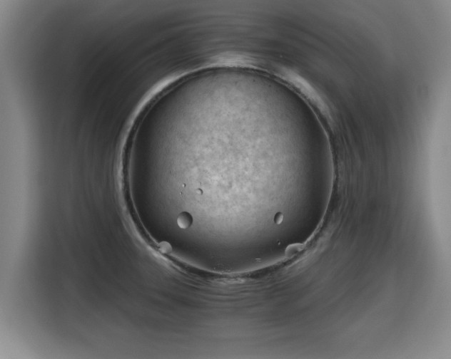 X0000115681331200911191046