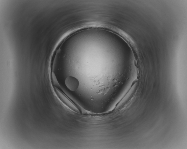 X0000115681334200911191046