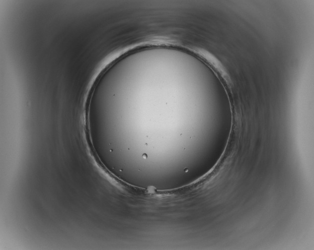 X0000115681335200911191046