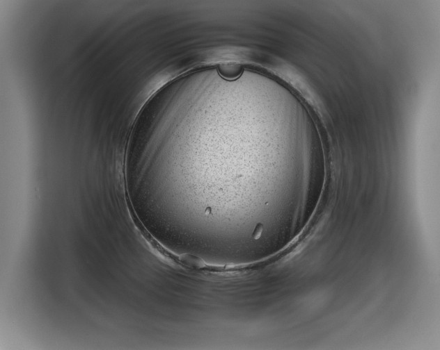 X0000115681337200911191046