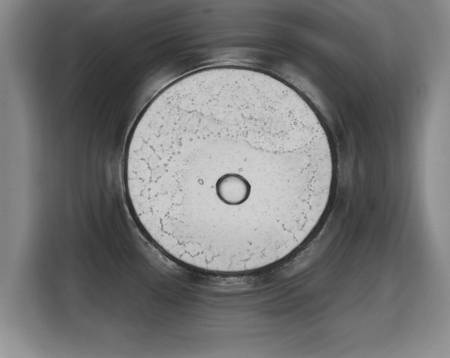 X0000115681338200911191046