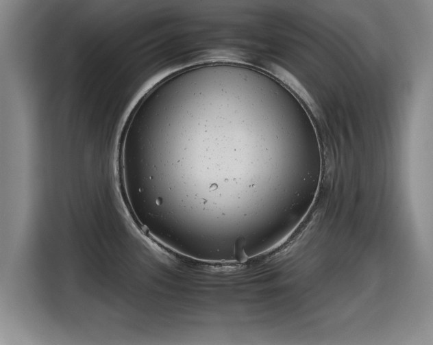 X0000115681339200911191046