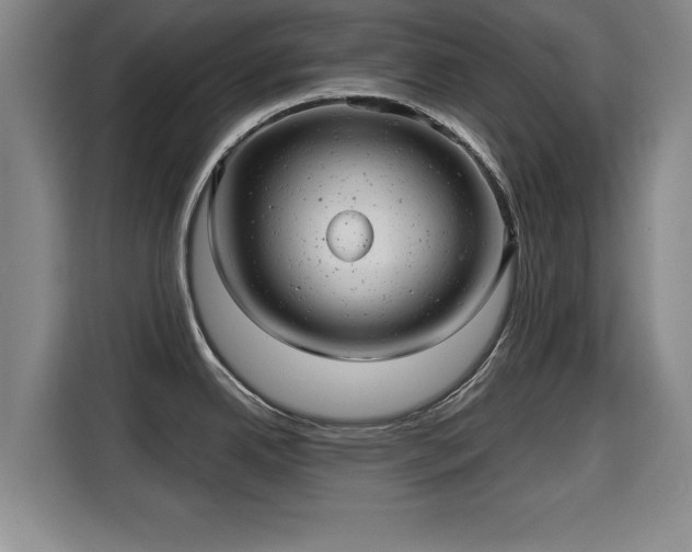 X0000115681342200911191046