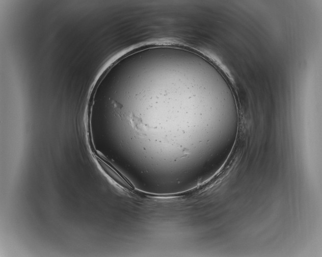 X0000115681343200911191046