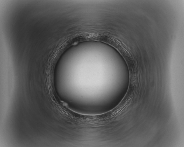 X0000115681345200911191045