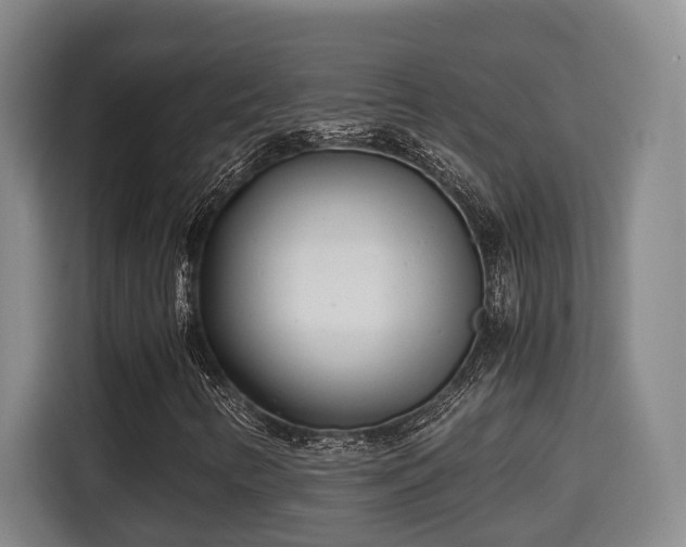 X0000115681346200911191045