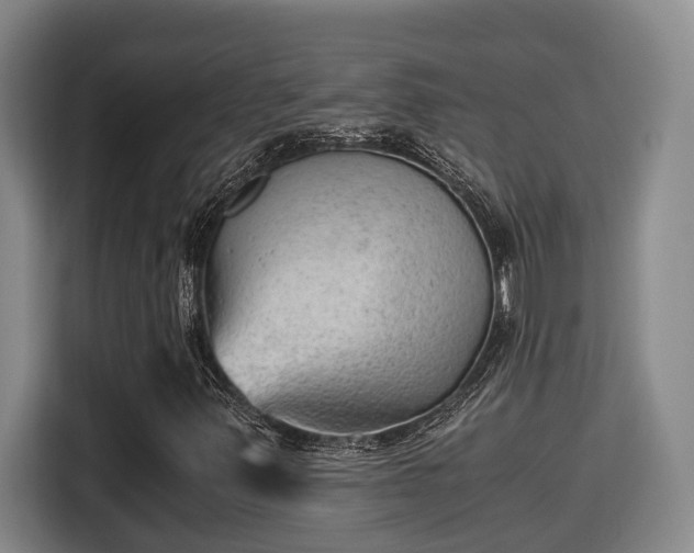 X0000115681347200911191045